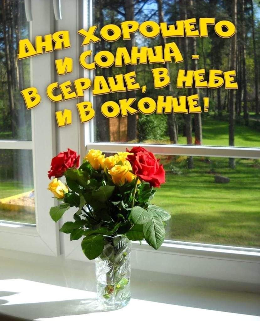 Доброе утро цитаты