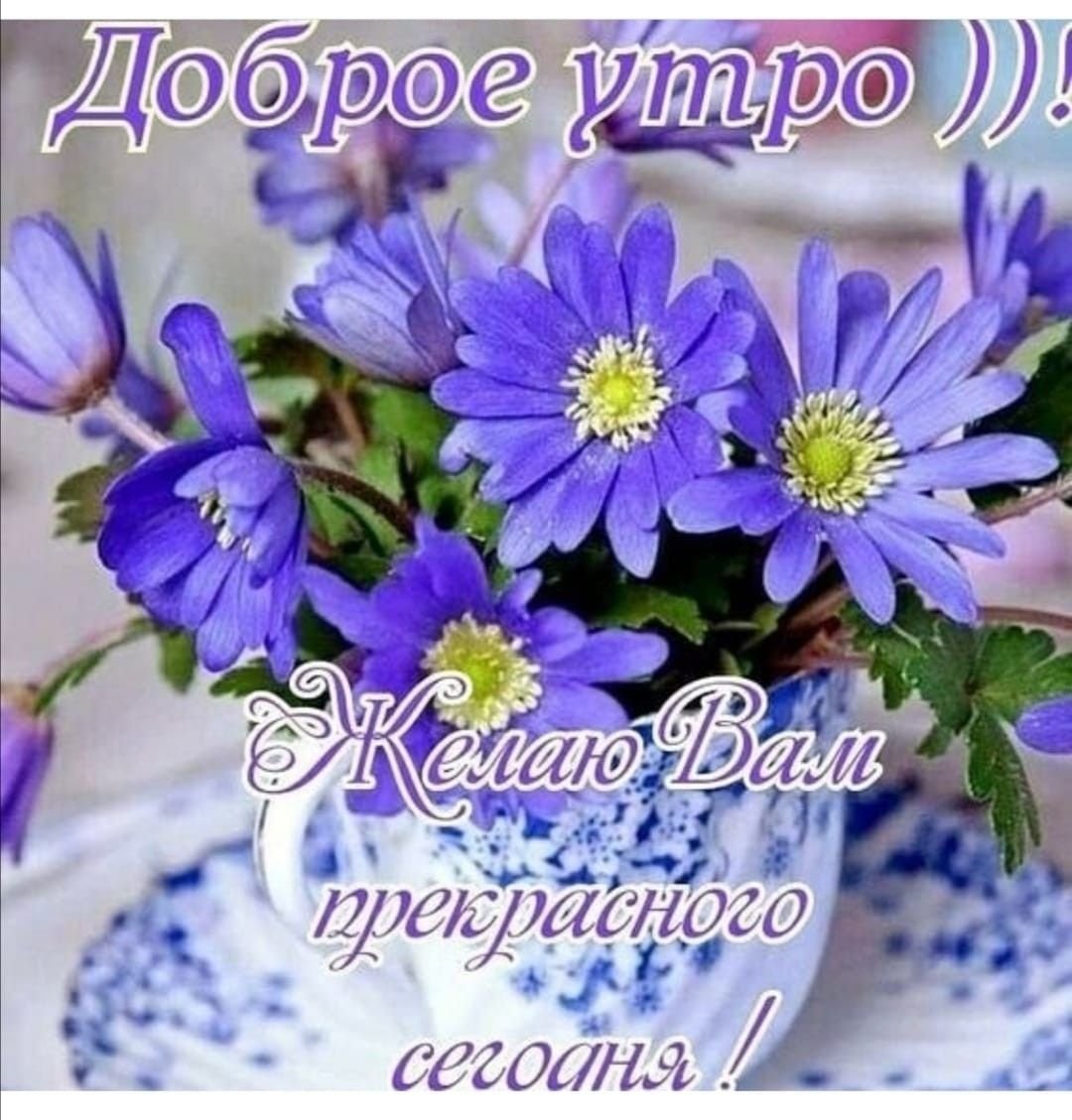 Стильные открытки с добрым утром