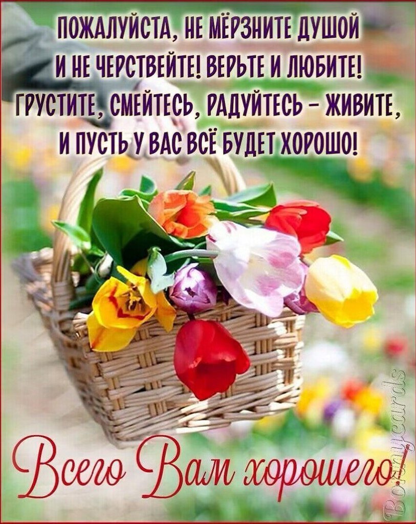 Оригинальные пожелания с добрым утром