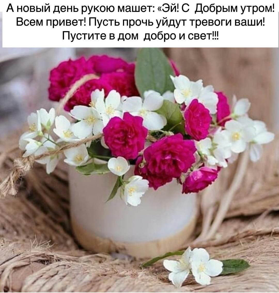 Картинки здравствуй новый день с пожеланиями