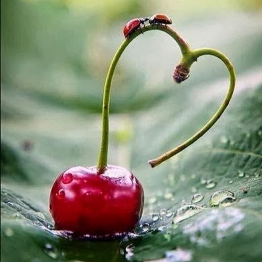 С добрым утром на англ