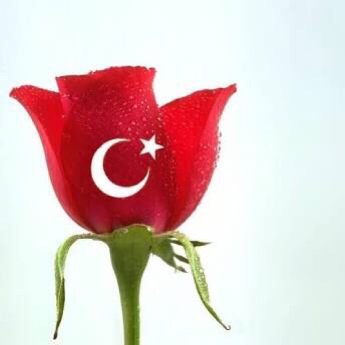 Сердечки картинки