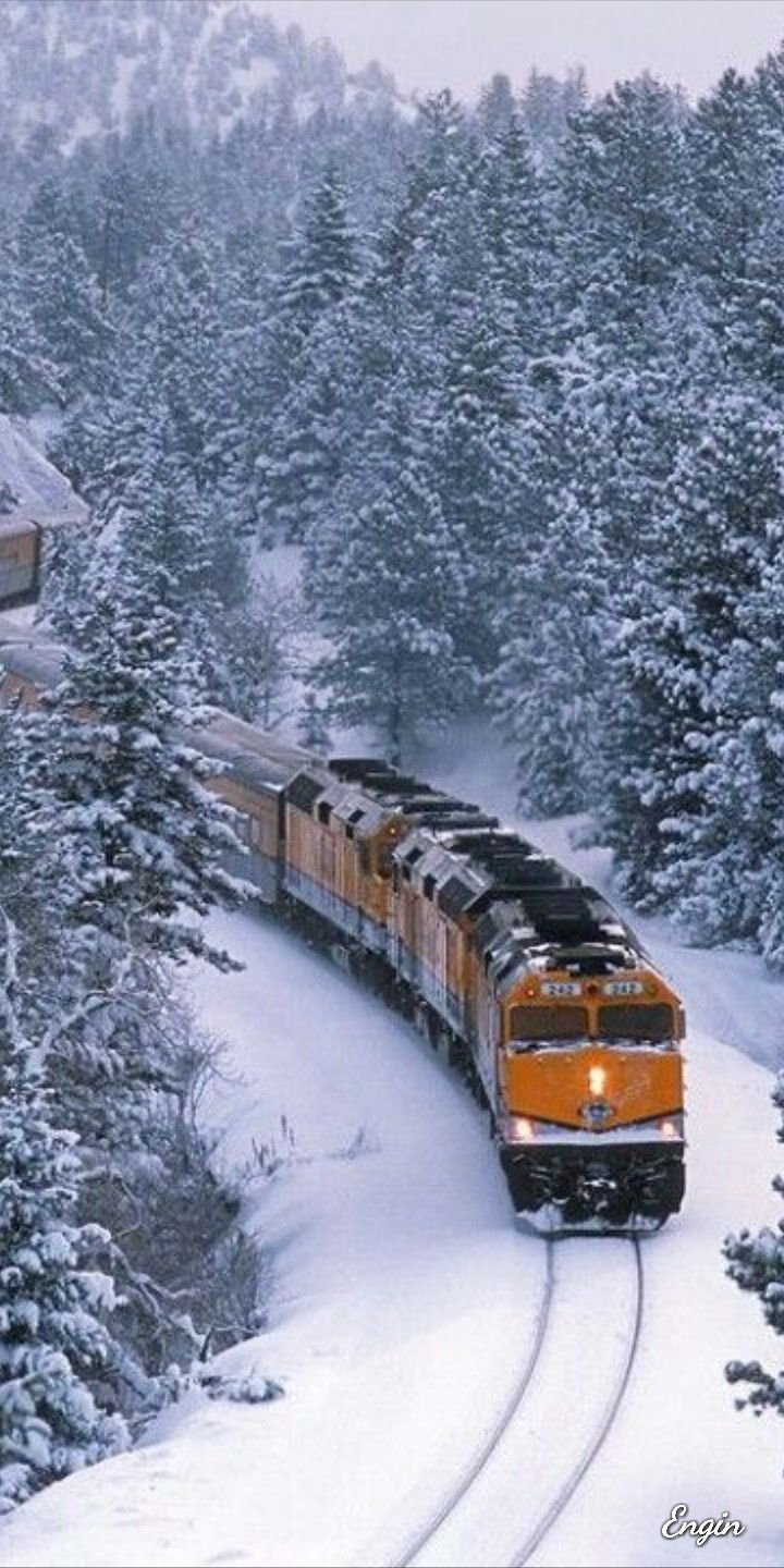 Снежный поезд