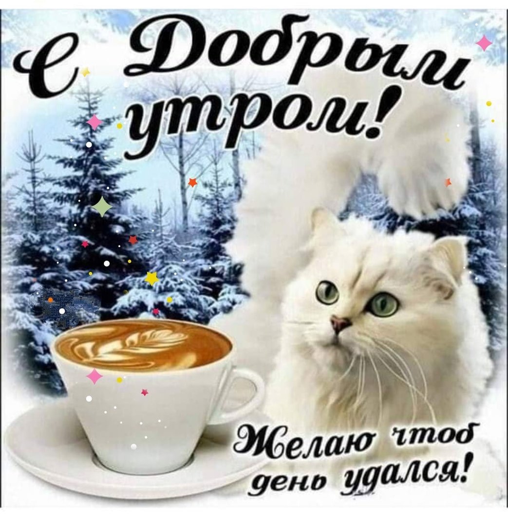 Солнечных выходных