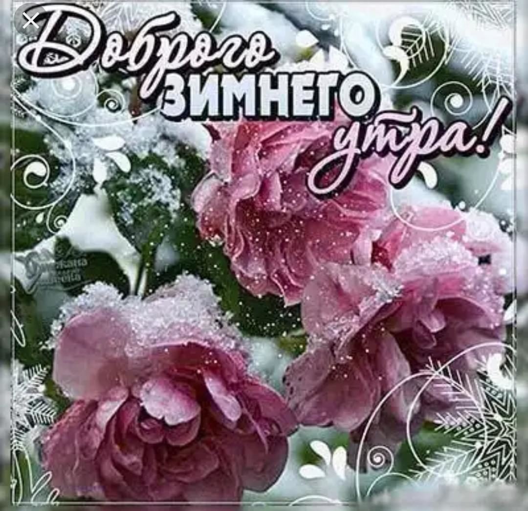 Хороших зимних выходных