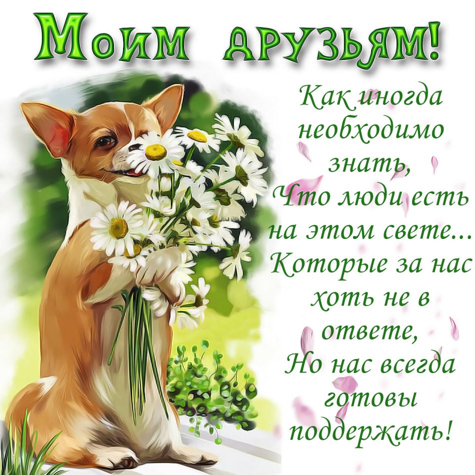 Добрые пожелания