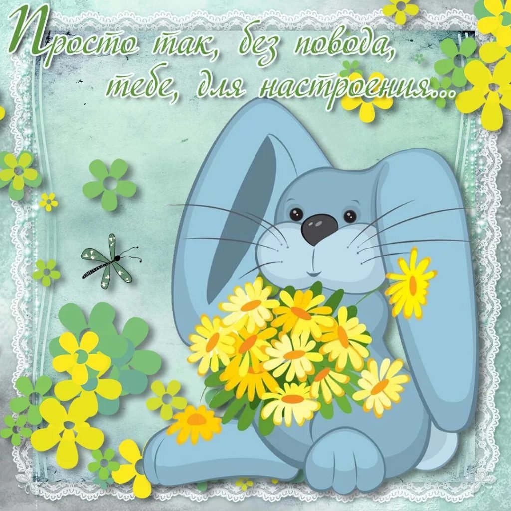 Пожелания на все случаи жизни в картинках