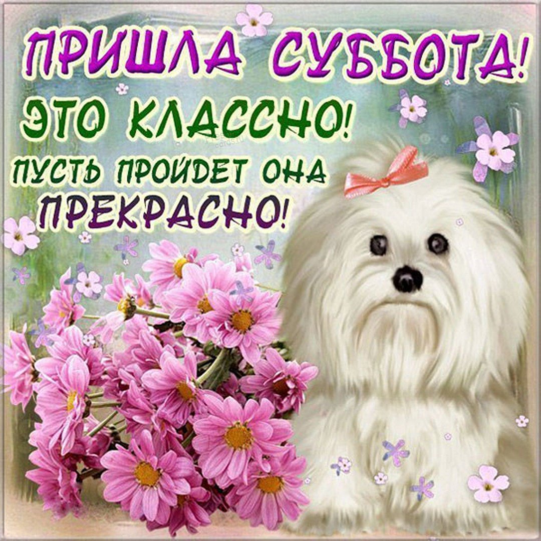 Прекрасной субботы и отличного настроения