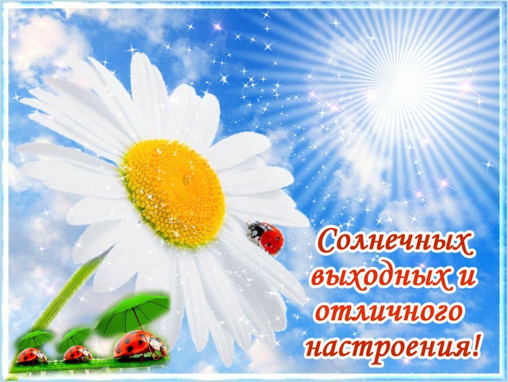 Солнечных выходных и отличного настроения