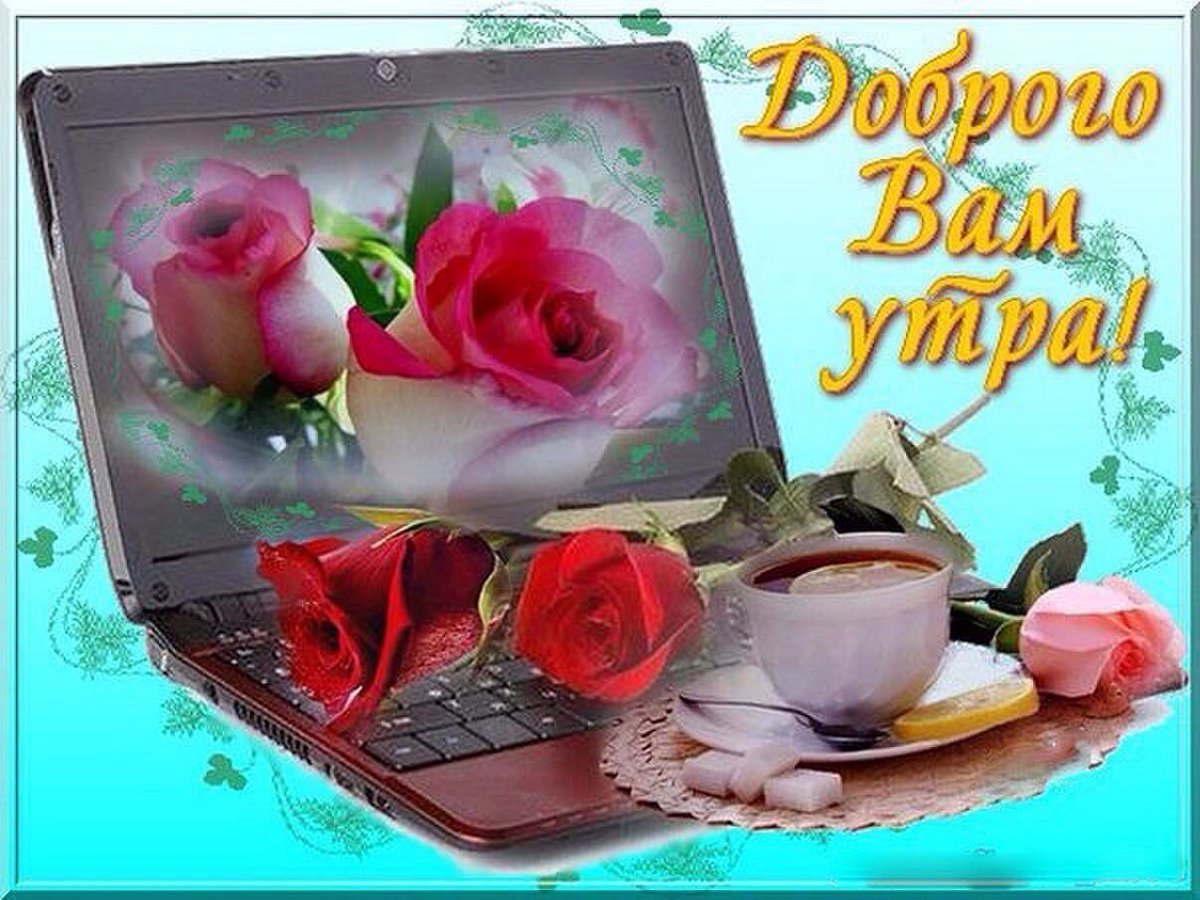 Доброе утро картинки