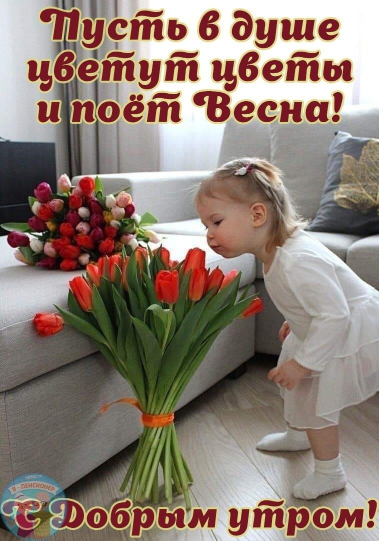 Открытки с добрым утром