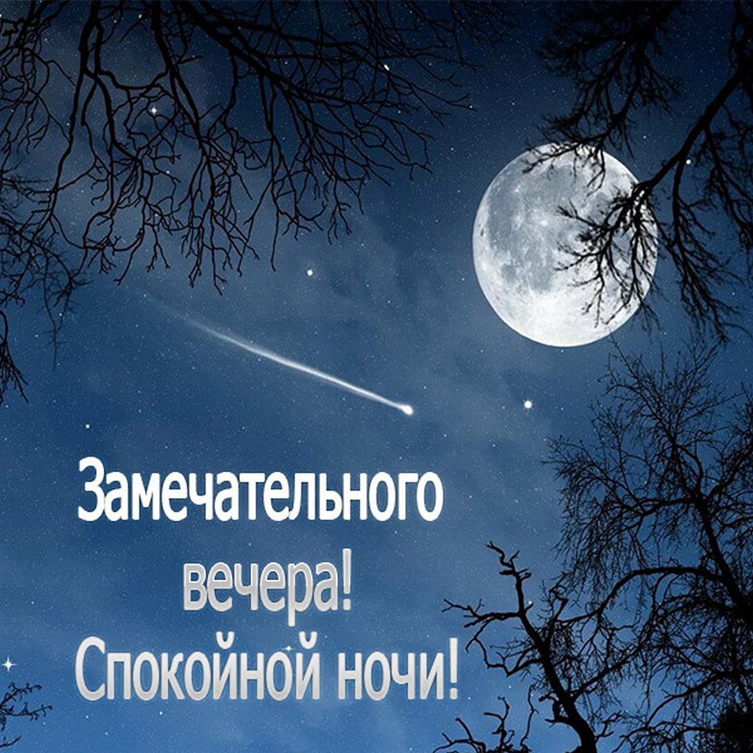 Доброй ночи братишка