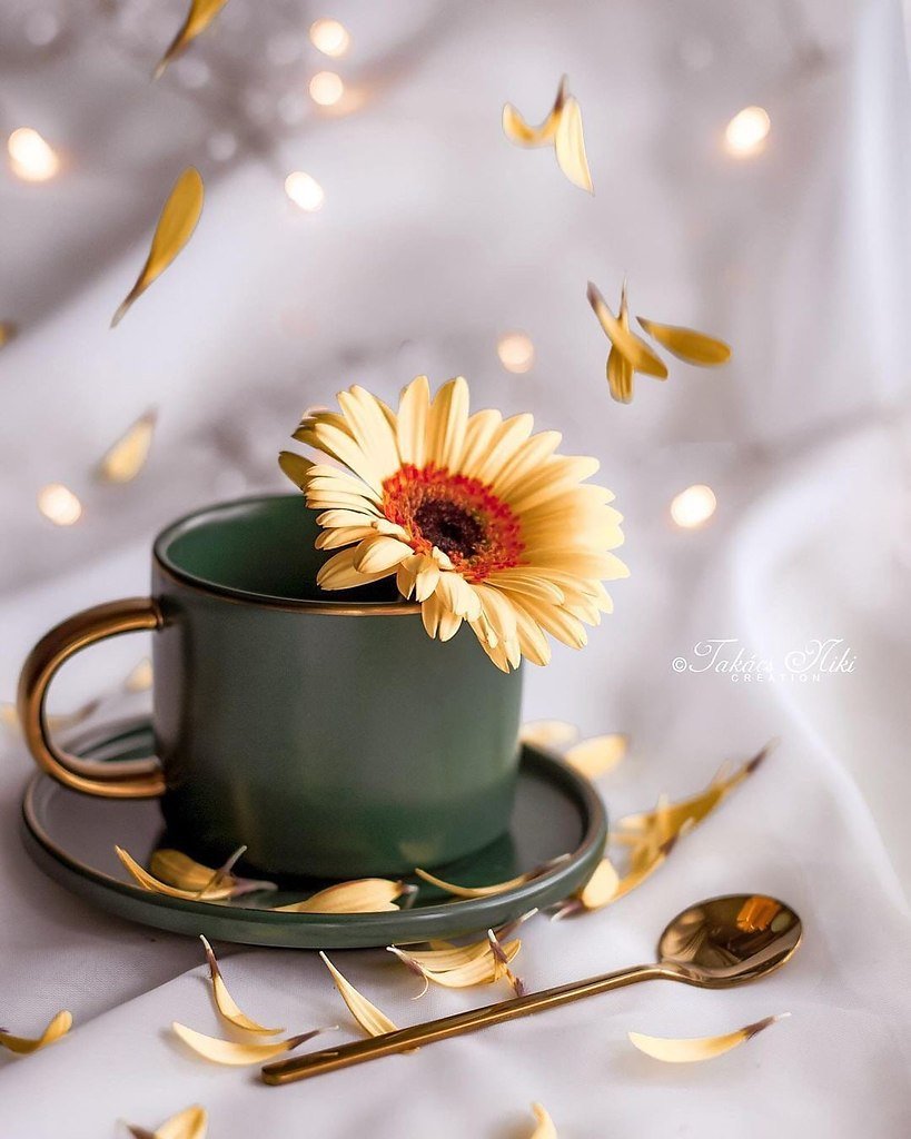 Доброе утро сентября