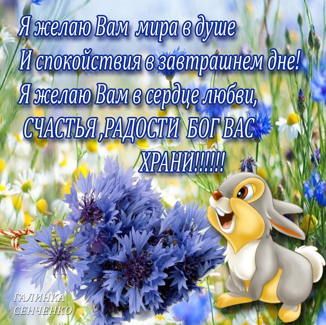 Пожелания с добрым утром и здоровья