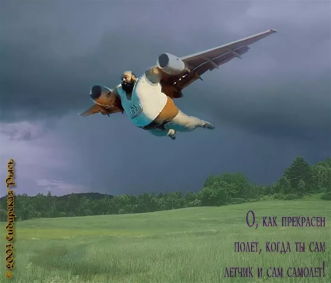 Летчик карикатура