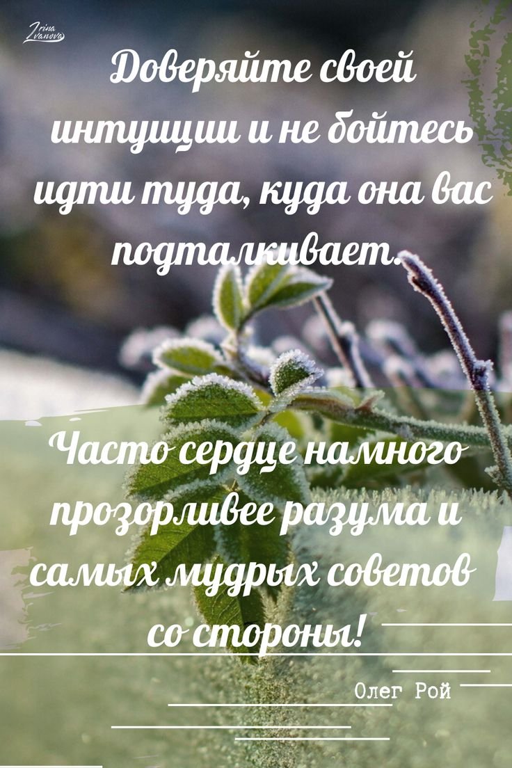 Высказывания про кофе