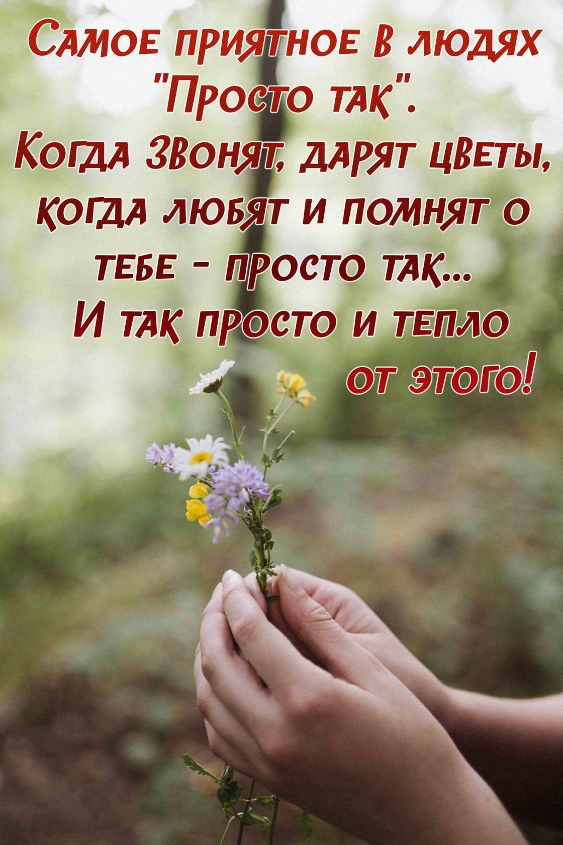 Летние стихи