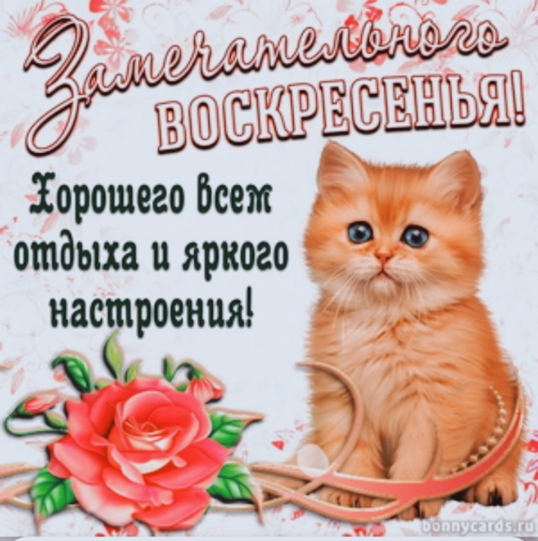 Красивые поздравления с добрым утром