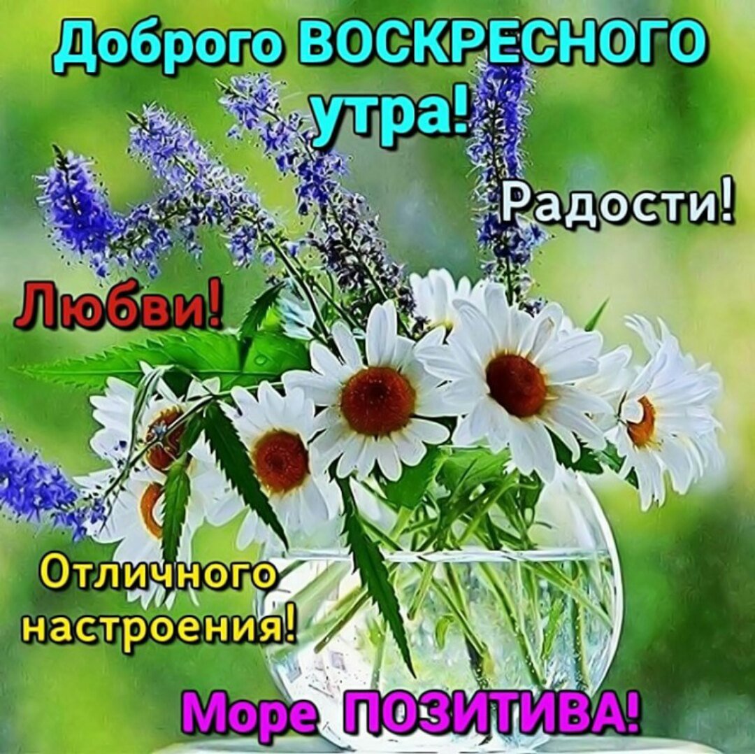 Доброе утро лето
