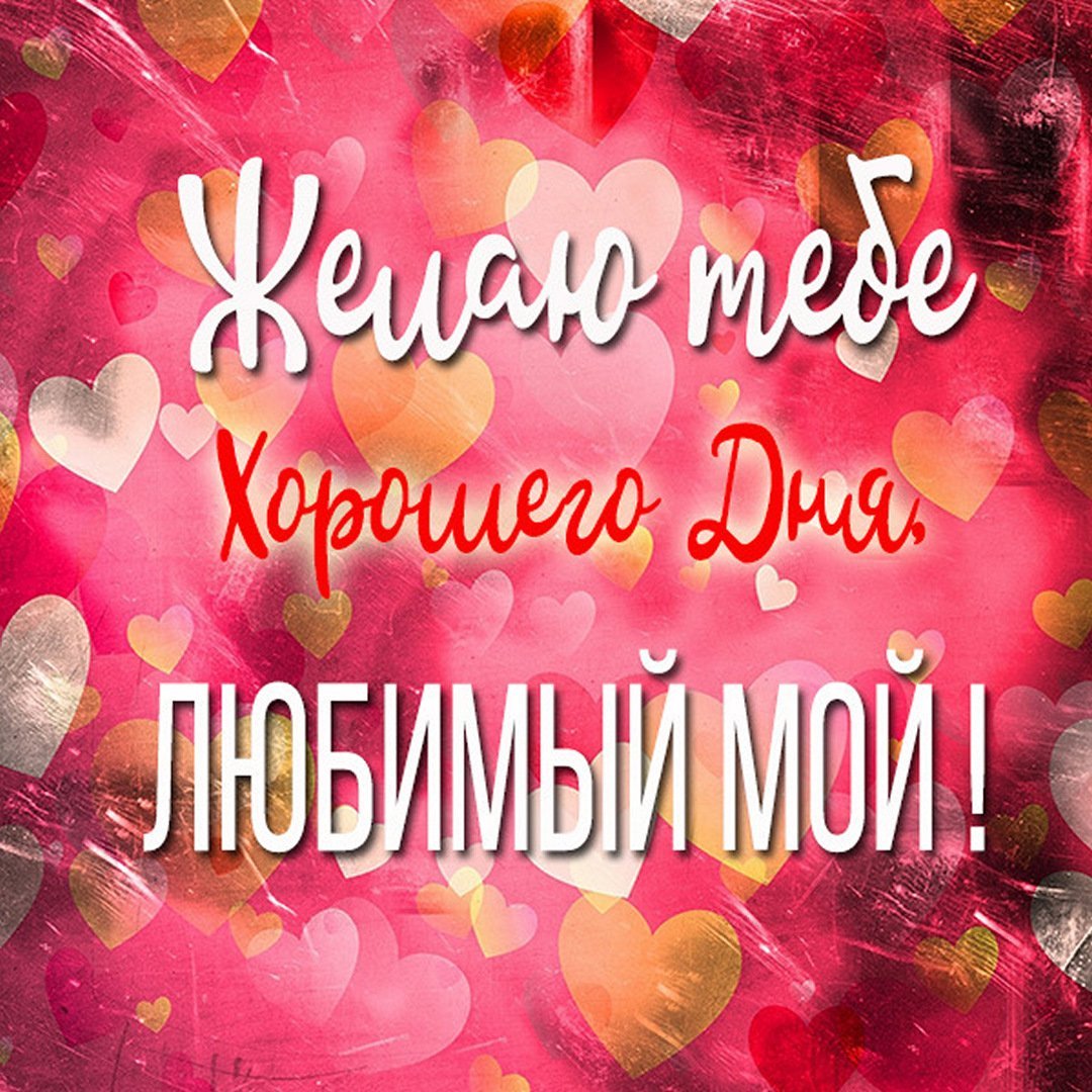 Хорошего дня любимый