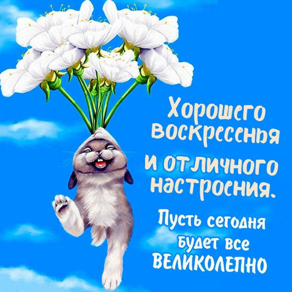 Утренний приветик
