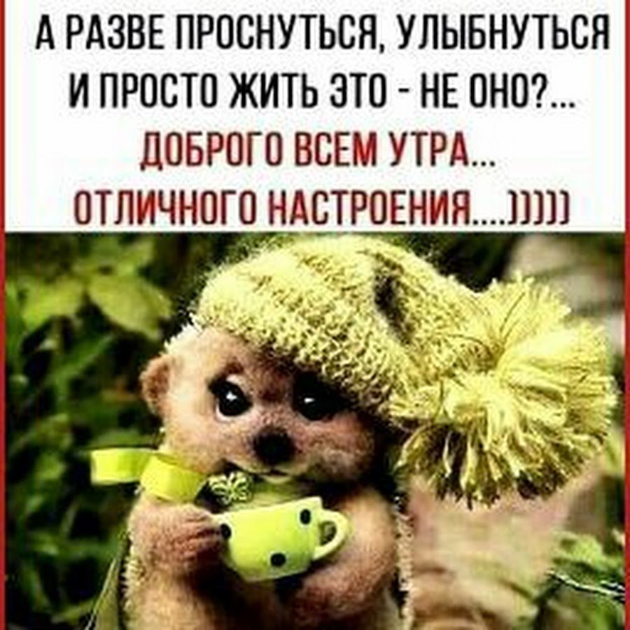 Проснулись УЛЫБНУЛИСЬ доброе утро