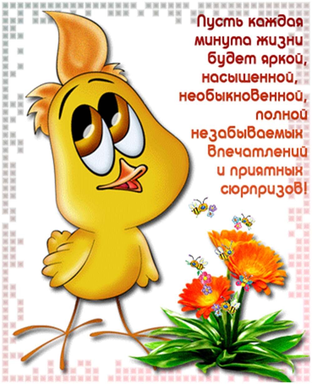 Веселые пожелания на каждый день