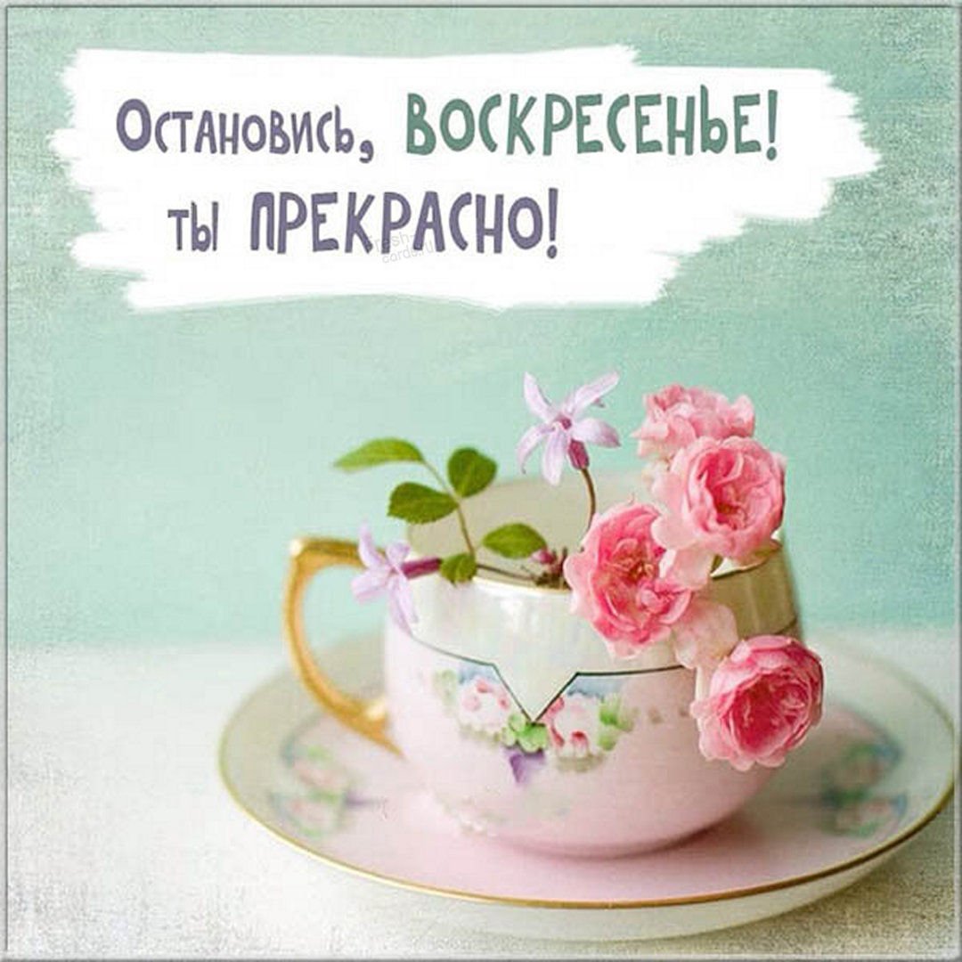 С добрым воскресным утром