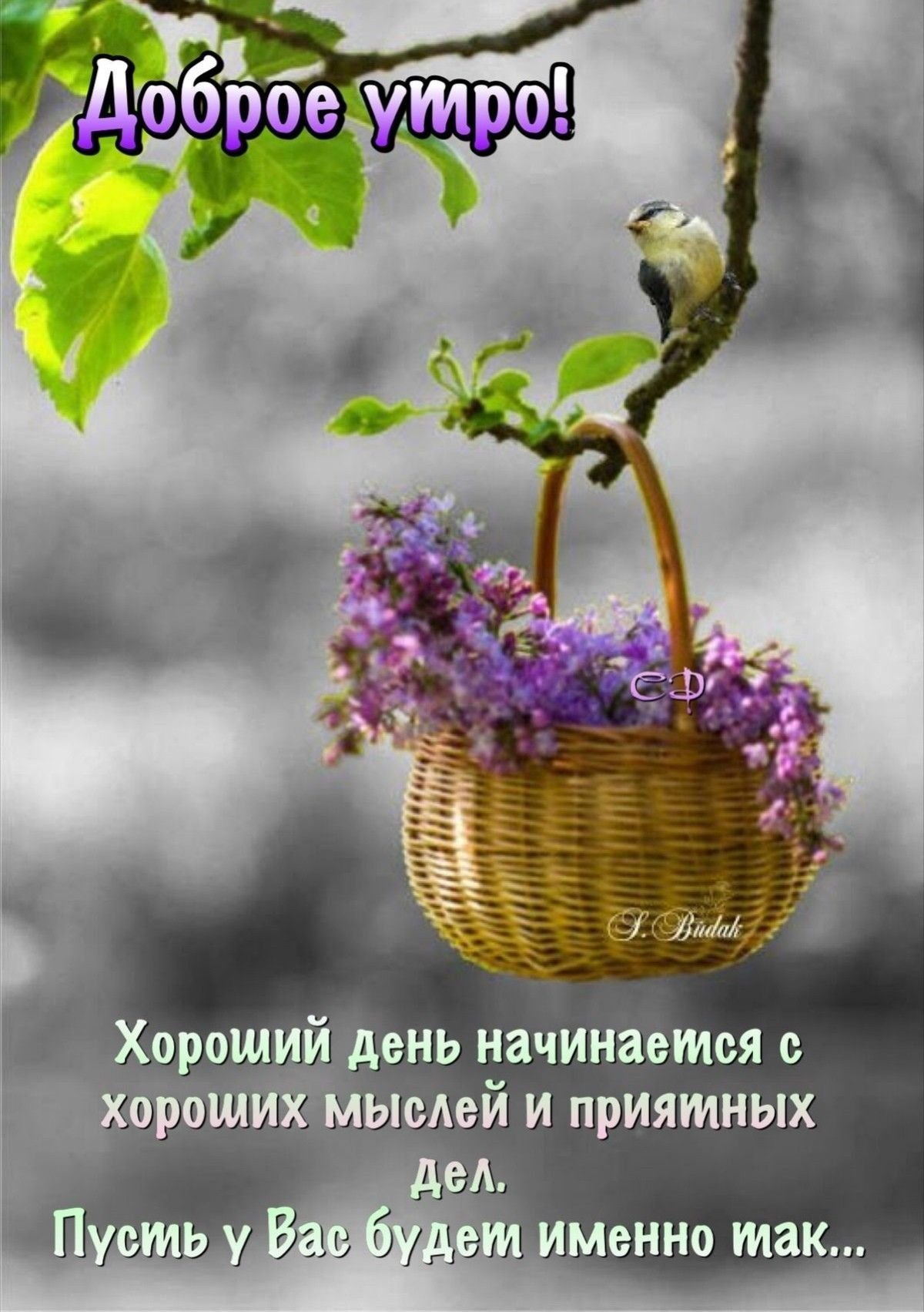 Отличного воскресенья