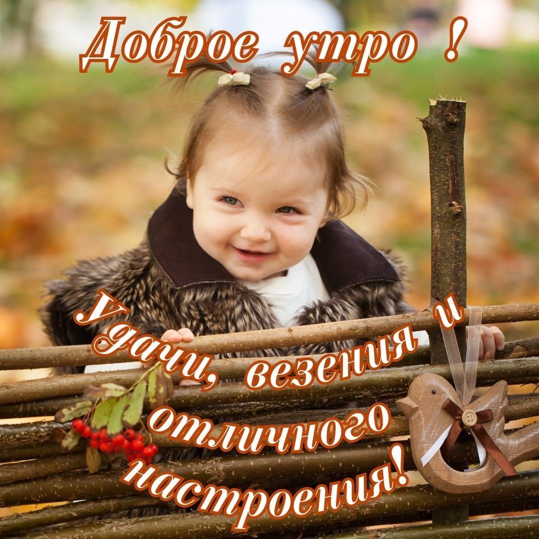 Фиалка в чашке