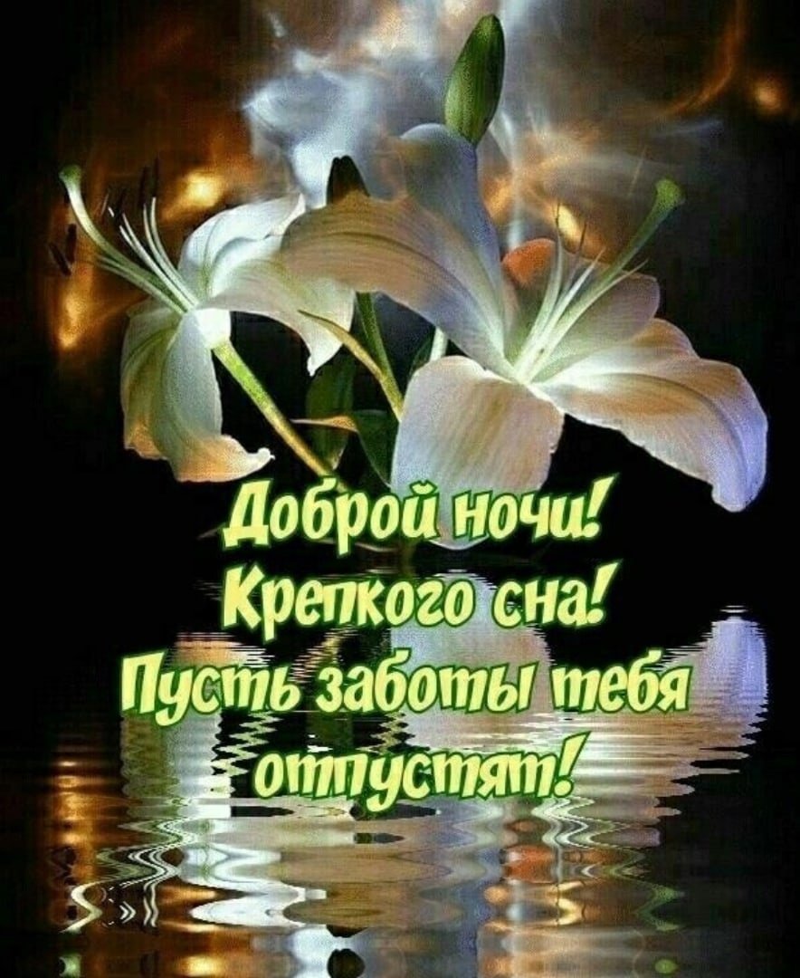 Спокойной ночи приятных снов