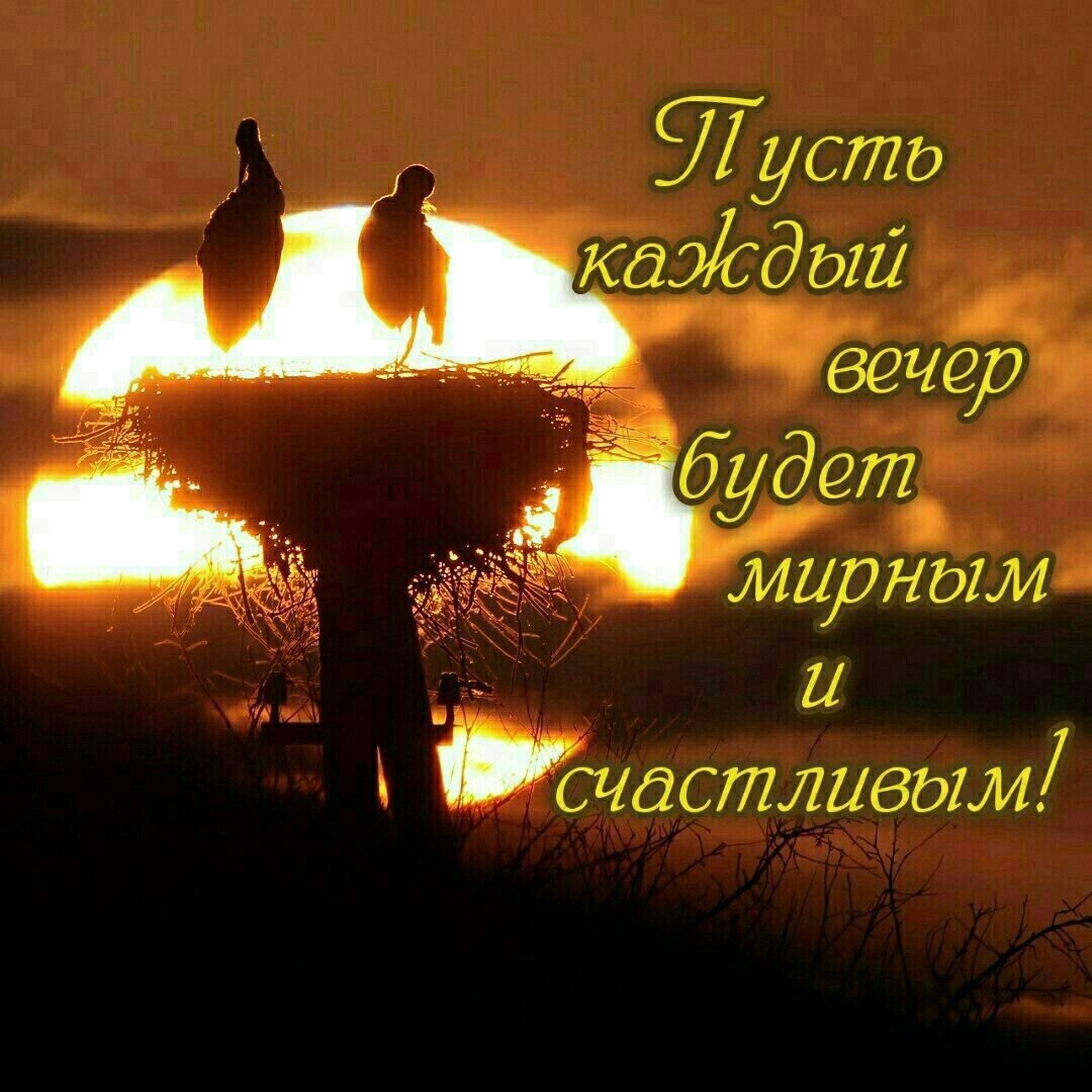 Доброго вечера и спокойной ночи