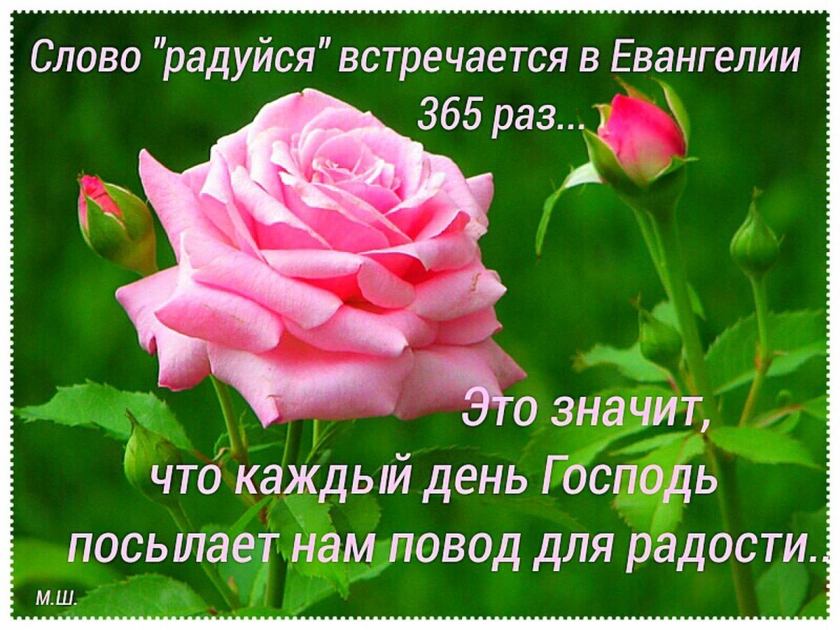 Доброе утро с Цитатами из Библии