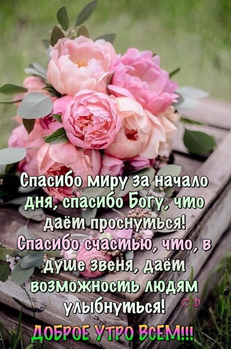 Пожелания благословенного утра и хорошего дня