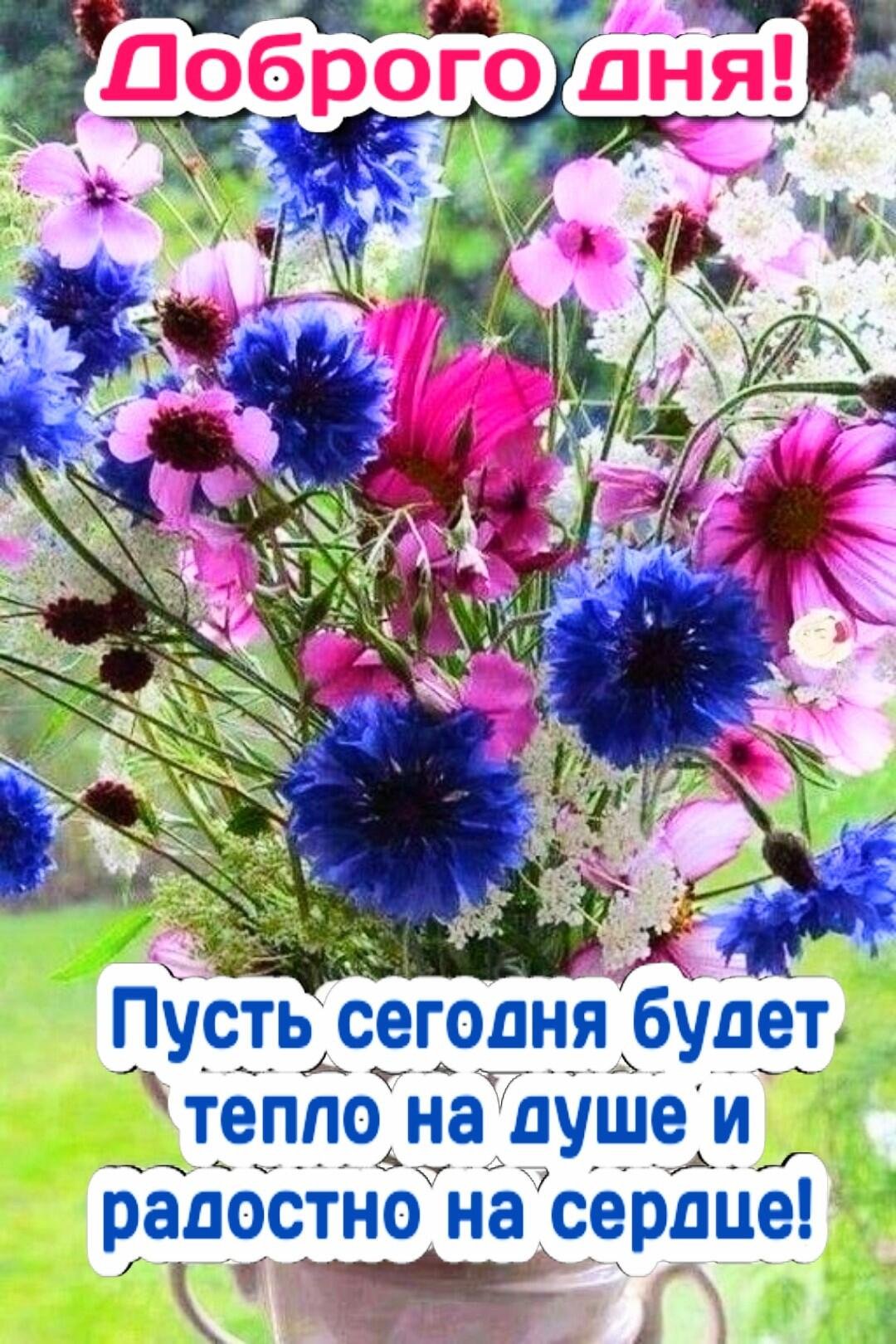 Душевной гармонии и тепла