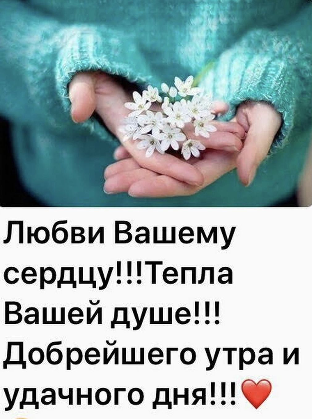 Душевного спокойствия на весь день