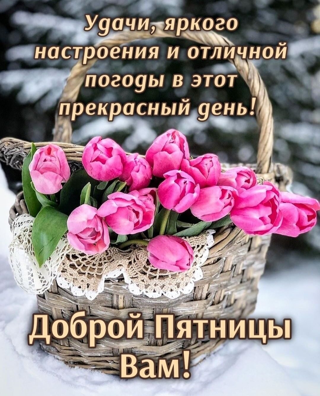 Хорошего дня хорошему человечку