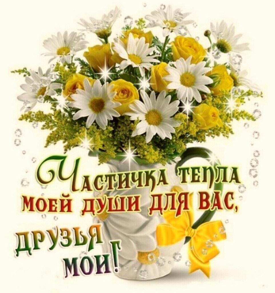 День ромашек 24 июня