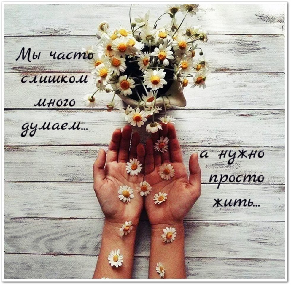 Счастье в простых вещах