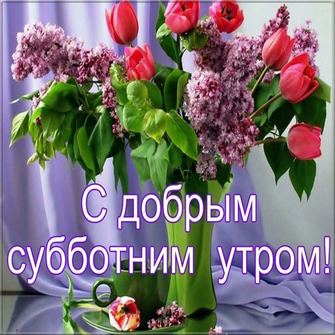 Доброе утро четверга