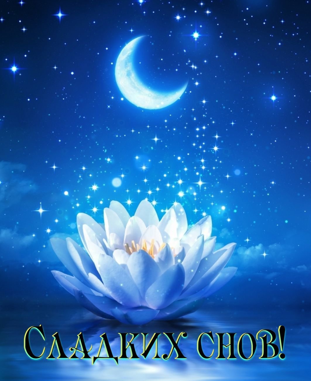 Цитаты доброй ночи