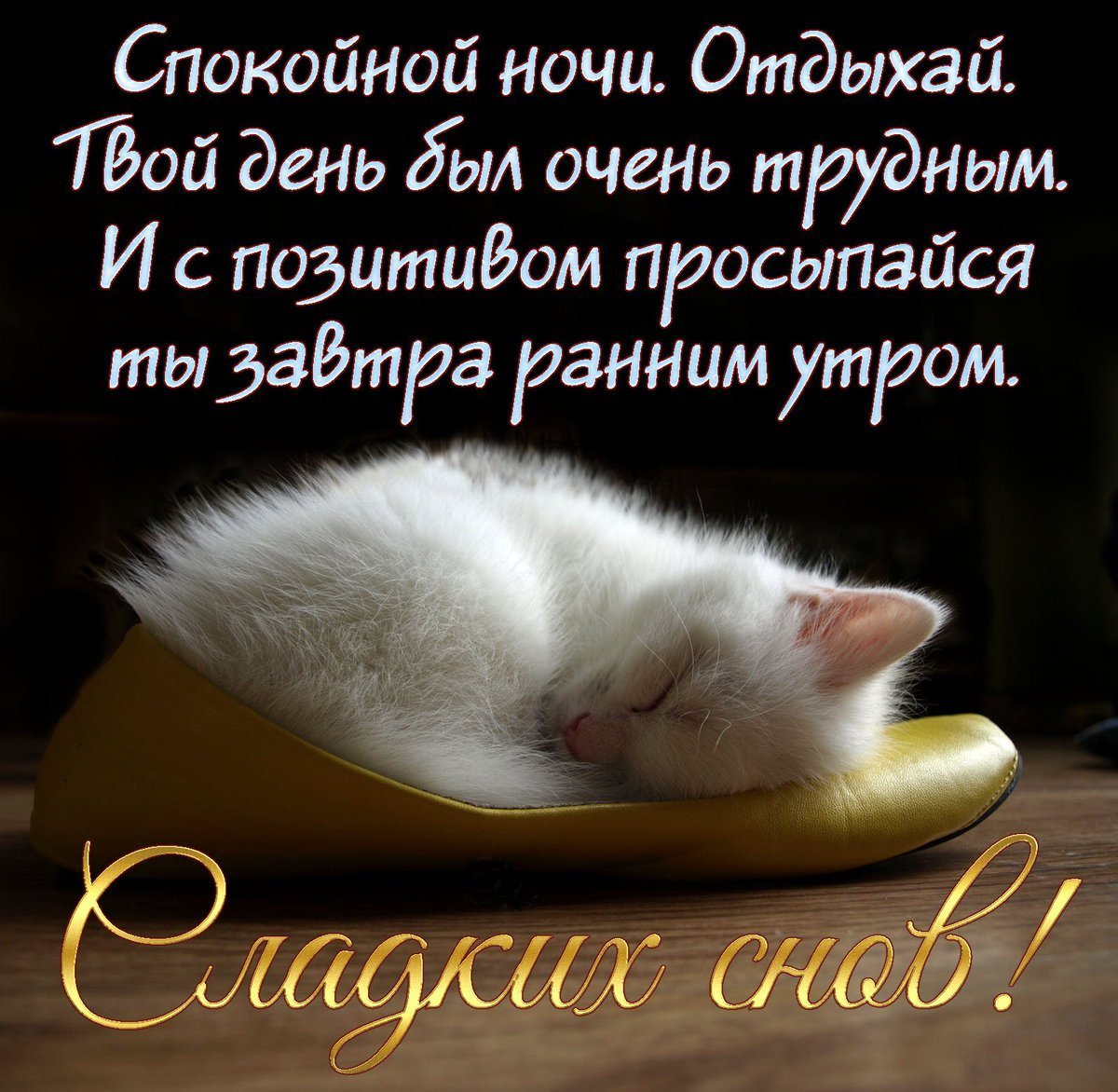 Цитаты про вечер