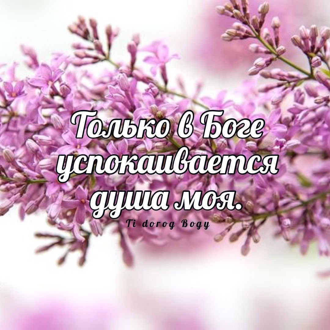 Библейские пожелания на ночь