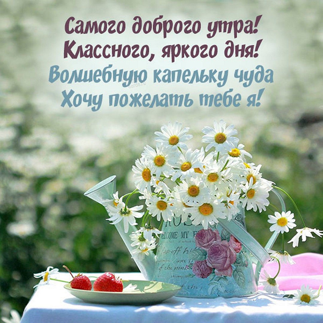 Открытки с мудрыми высказываниями