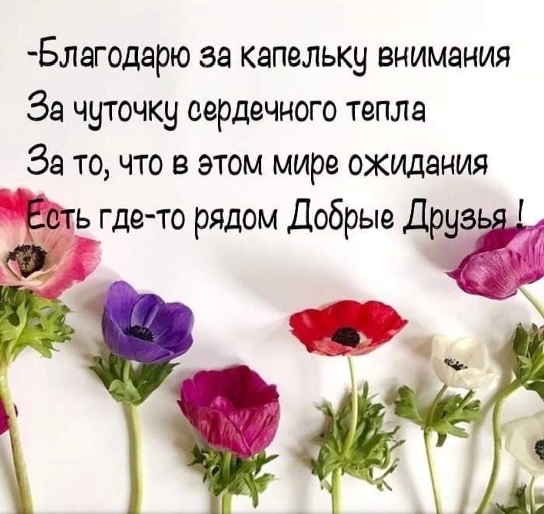 Самые добрые и теплые пожелания