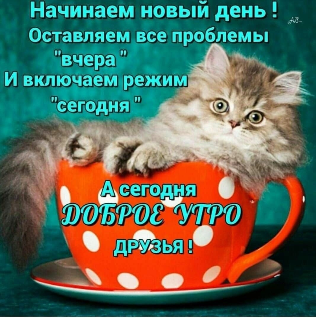 Картинки с добрым утром зимние добрые