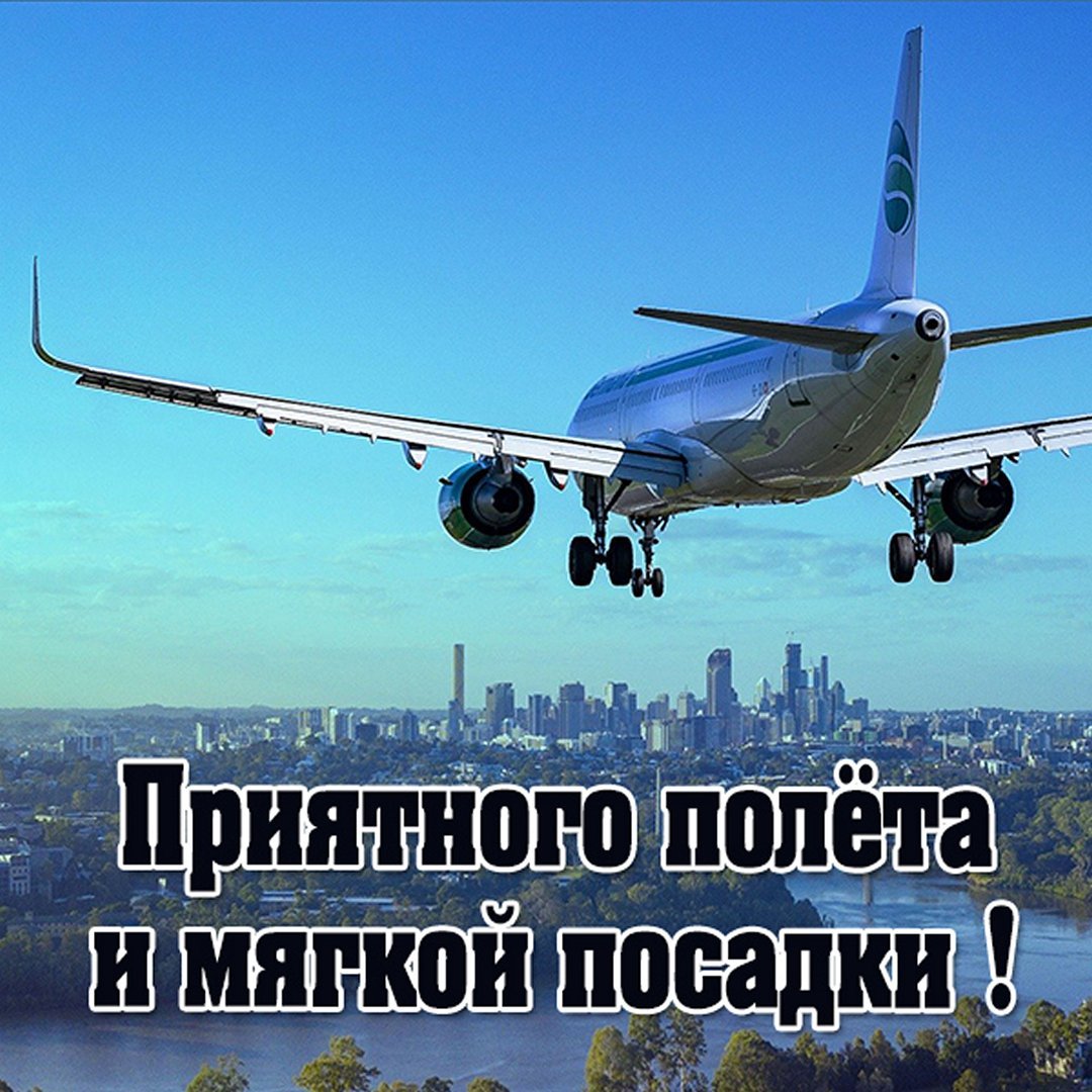 Самолет логотип