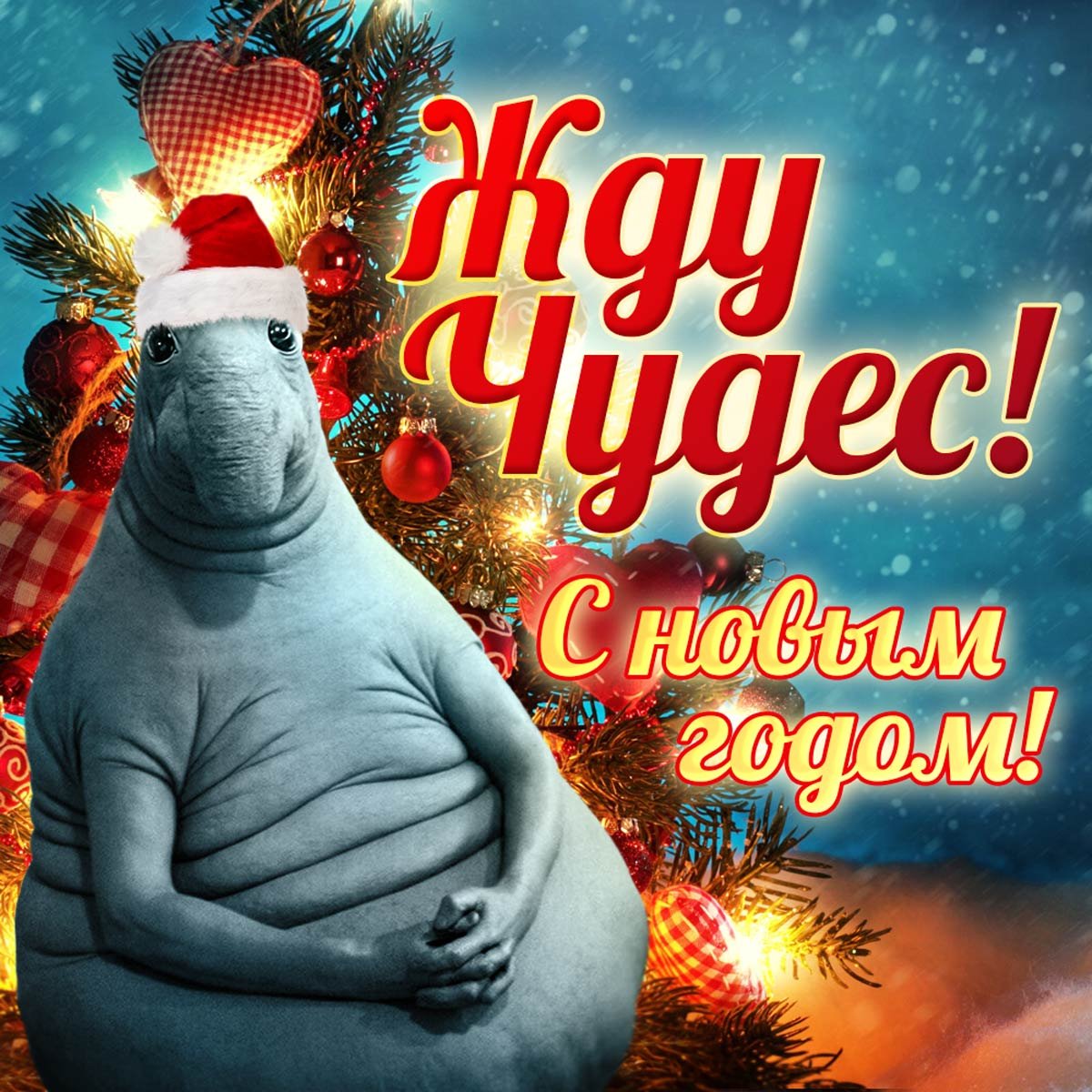 Новогодние шутки
