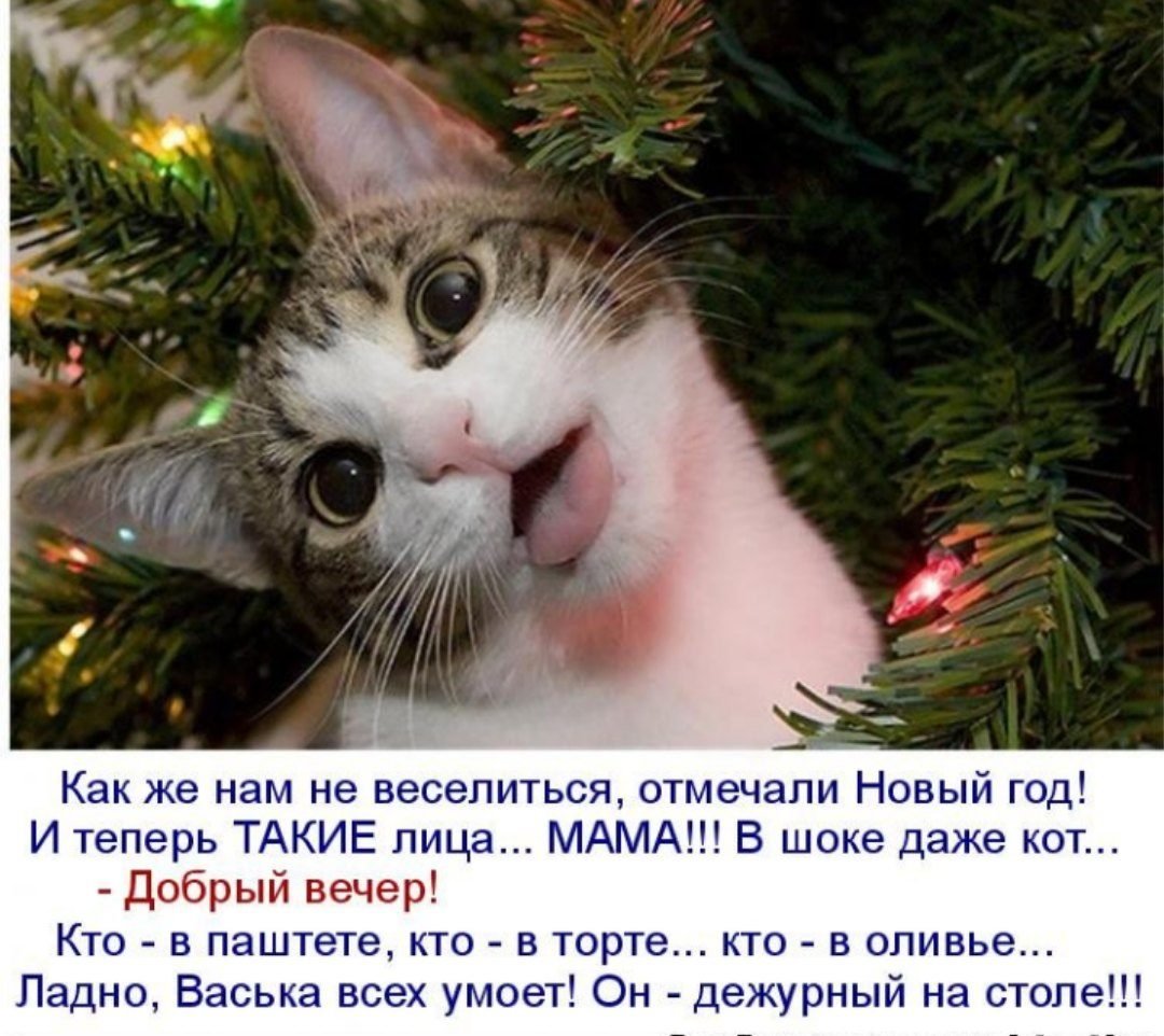 Ждем новогодних чудес