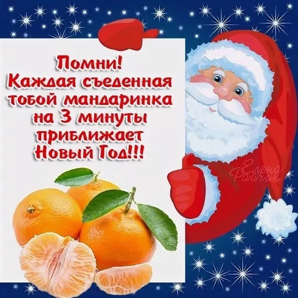 С наступающим новым годом котики